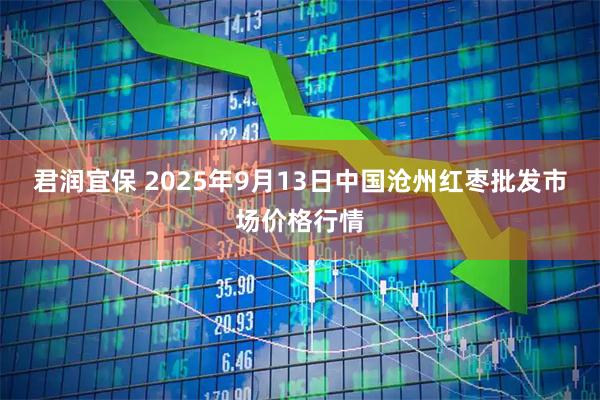 君润宜保 2025年9月13日中国沧州红枣批发市场价格行情