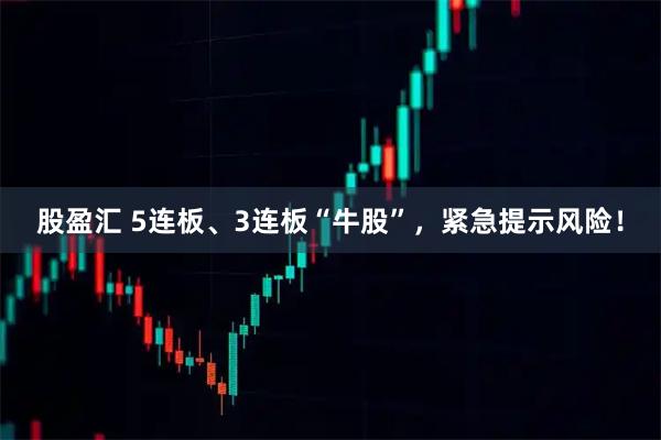 股盈汇 5连板、3连板“牛股”，紧急提示风险！
