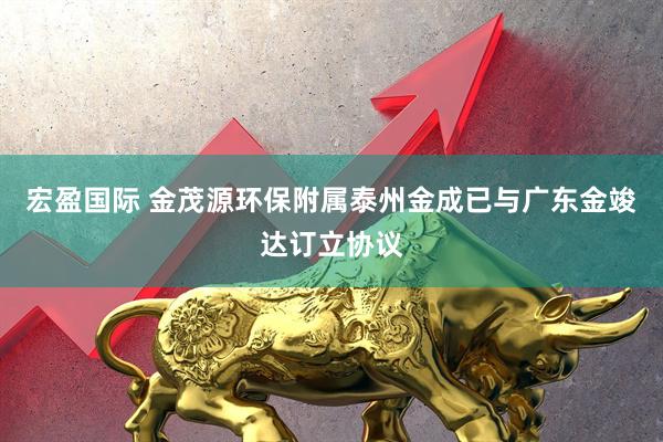 宏盈国际 金茂源环保附属泰州金成已与广东金竣达订立协议